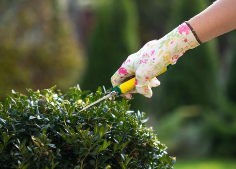 Professional lawn mowing service in Wembley