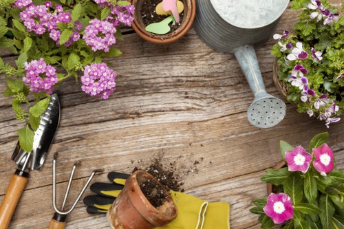 Gardener assessing safety on a residential lawn