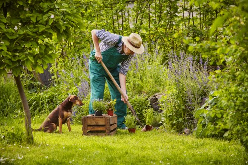 Customized garden design plan by Wembley landscapers