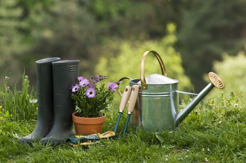 Lush green lawn maintained by professional landscapers