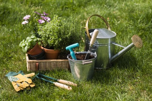 Benefits of professional lawn mowing