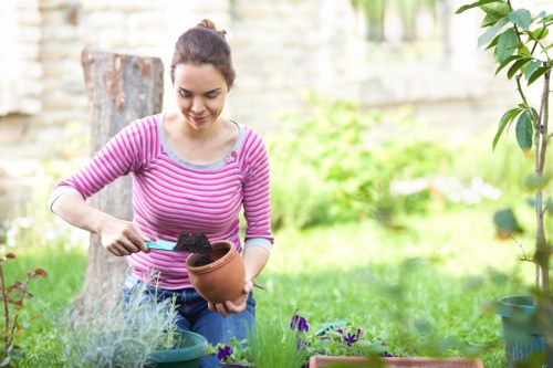 Advanced garden maintenance tools and equipment for a thriving Wembley garden