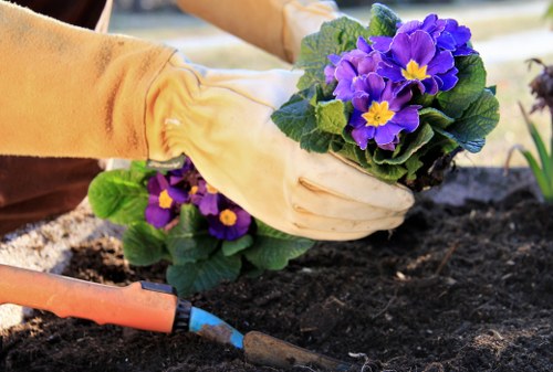 Eco-friendly lawn mowing practices