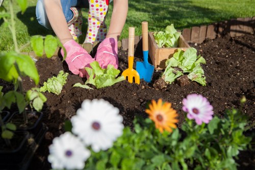 Benefits of professional garden clearance