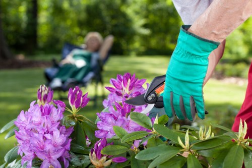 Gardener pointing out accessible planting beds during visit
