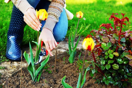 Professional landscape gardeners working on a Wembley garden project