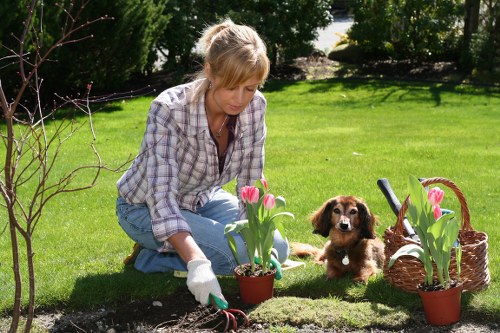 Wembley garden with seasonal blooms