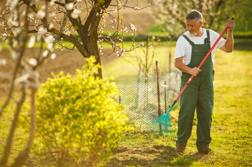 Choosing the right lawn mowing service