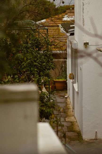 An narrow back garden on a residential property featuring a paved pathway with worn bricks running alongside a white exterior wall of the house. On the right, the wall has a small white electrical box